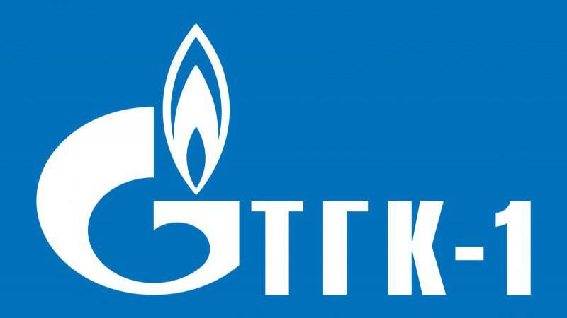 Территориальная генерирующая компания № 1 (ТГК №1)